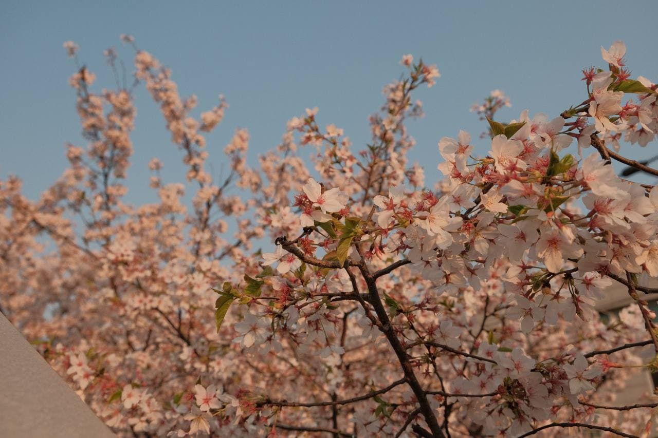 로컬 카페 브랜딩